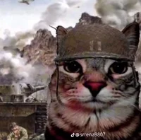 Sleepover gone wrong