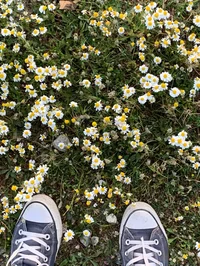 Gods of Egypt Future