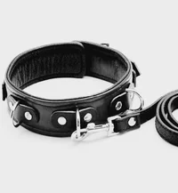 4 chicos y 1 mascota