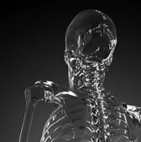 Glass Skeleton