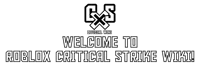 CRITICAL STRIKE