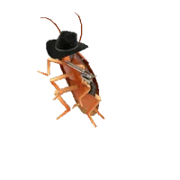 Cockroach