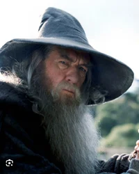 Gandalf the Grey 