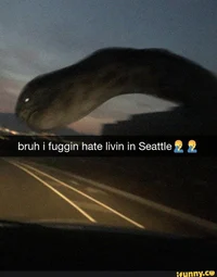 Seattle Hater