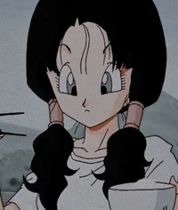 Videl