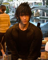 Noctis Lucis Caelum