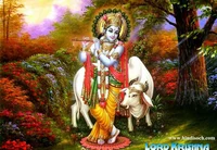 Lord Krishna 