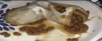 Burritobeans69