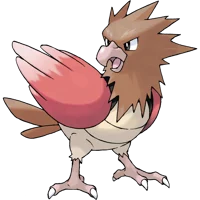 Spearow