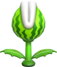 Melon piranha plant 