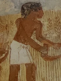 Plantation simulator