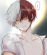 Shoto todoroki