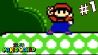 超级马里奥世界