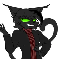 Julien the black cat