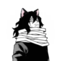 Aizawa - cat