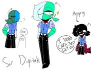 Sir Digitals