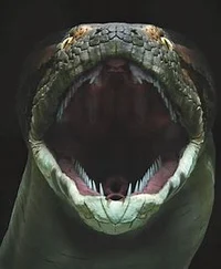 Titanoboa