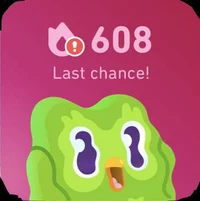 Duolingo Its Late