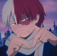 Shoto Todoroki