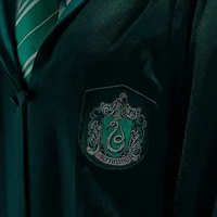 The slytherin boys