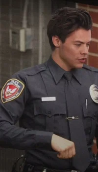 harry styles police