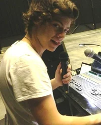 harry styles