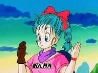 Bulma