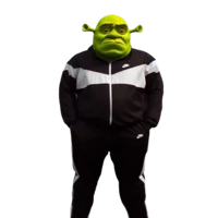 Shrek wearing Nike