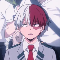 Shoto todoroki 