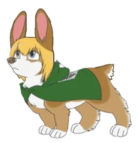 Dog Armin