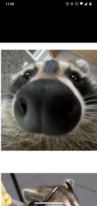 Dungeons and dragons