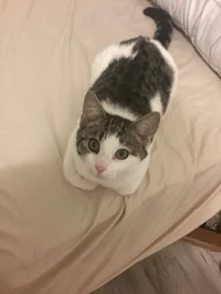 Naruto Dorm Roleplay