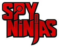 Spy ninjas