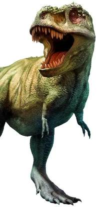 rexy