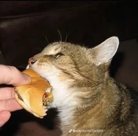 Riki