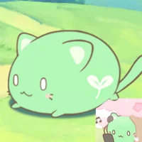 Chacha Cat