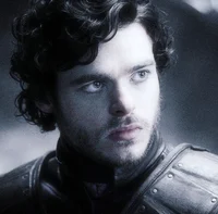 Robb Stark