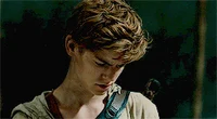 Newt