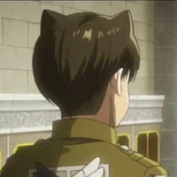 Levi Ackerman-cat