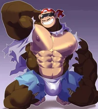Funky Kong