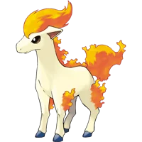 Ponyta