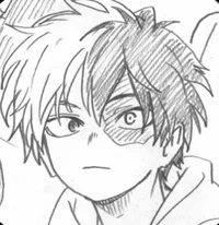 Shoto Todoroki BF