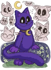 CatNap