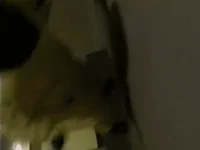 MARVIN LEIGH - ASYNC