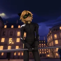 Cat Noir 