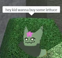 Lettuce dealer