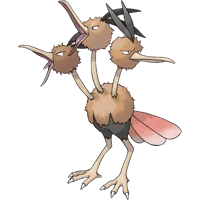 Dodrio