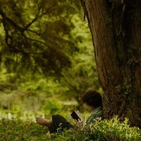 CMBYN