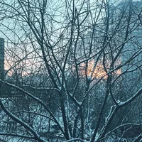 Who the hell knows w