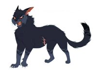 Breezepelt